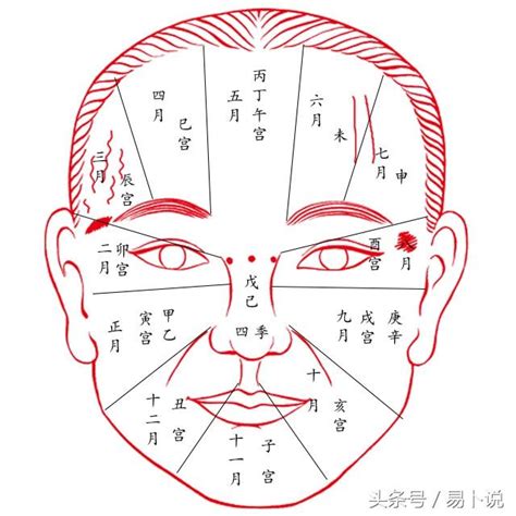 氣色面相|【面相氣色】深入解析面相氣色：揭開你的健康與性格密碼 – 最新。